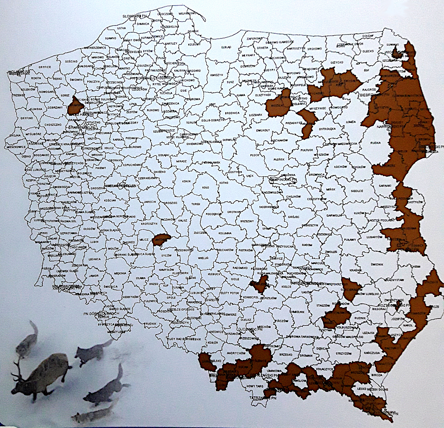 mapa występowania wilków w Polsce
