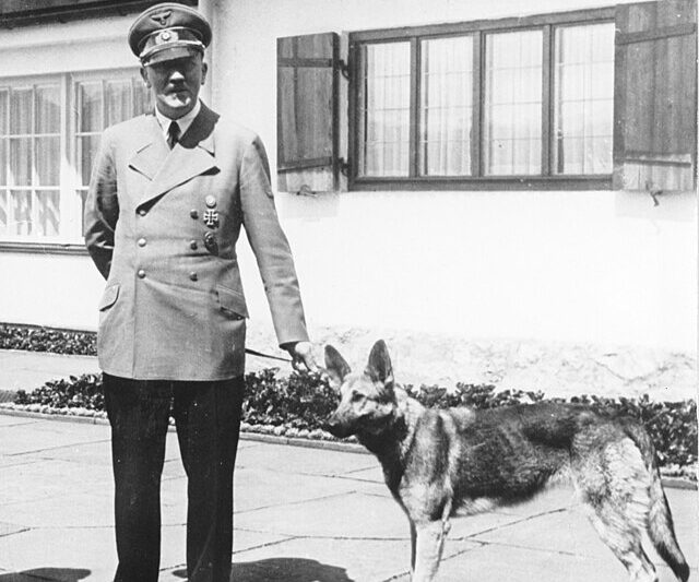 Pies Adolfa Hitlera