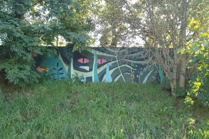 Czy pantera atakuje ludzi?