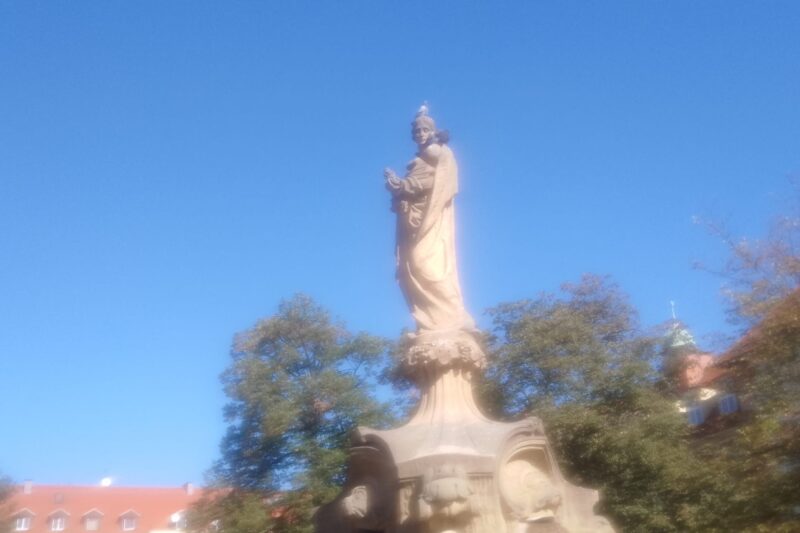 Gołębie na pomnikach – fakty i konsekwencje