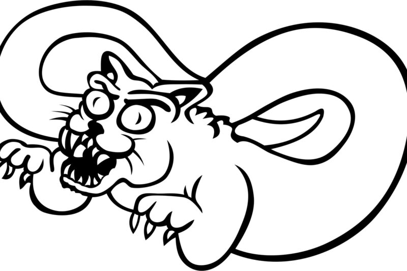 Najniebezpieczniejsze zwierzęta świata