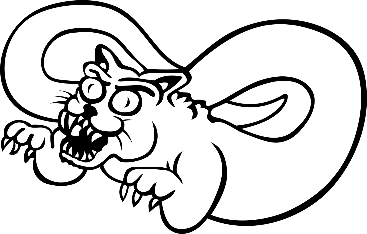 Najniebezpieczniejsze zwierzęta świata