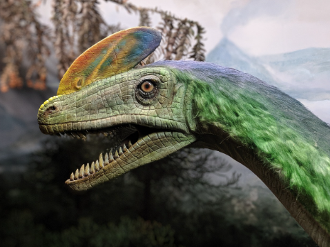 dinozaur z otwartą paszczą