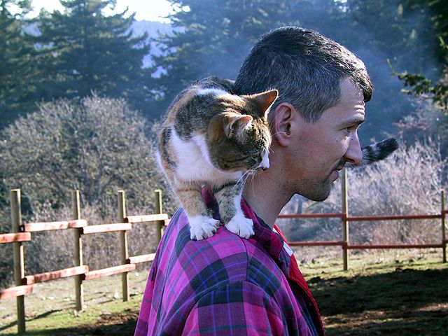 mężczyzna z kotem na ramieniu