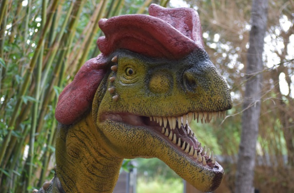 ktory-dinozaur-plul-kwasem