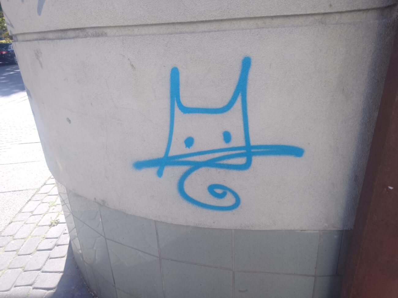 niebieski kot rysunek