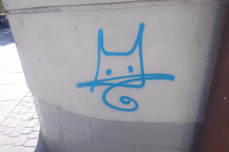 Niebieski kot – wyjątkowe umaszczenie