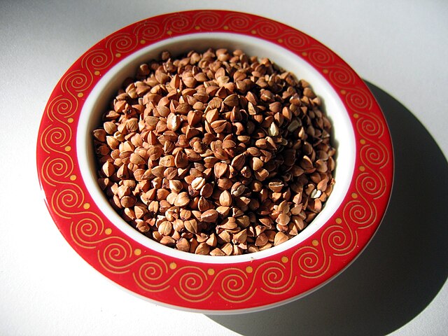 Miski na wodę i karmę dla psów – jak wybrać najlepsze rozwiązanie