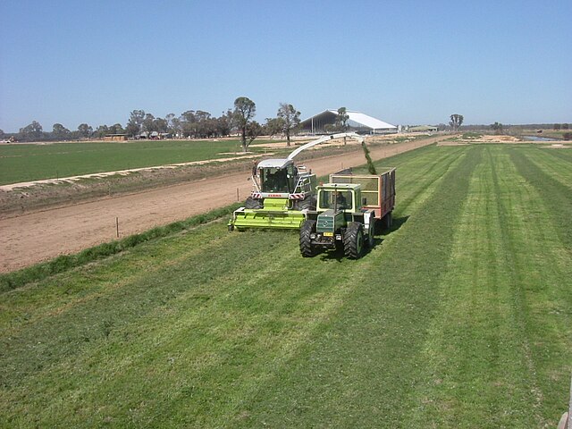 sianokiszonka dla konia