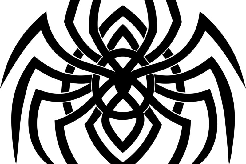 Najbardziej jadowite zwierzęta świata