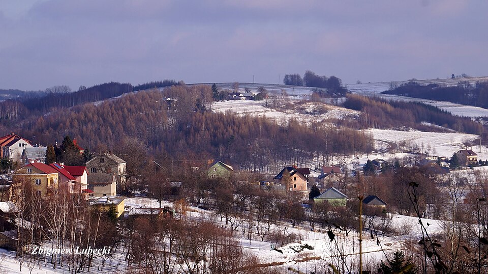 jawornik polski panorama