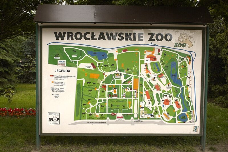 ZOO Wrocław – największy ogród zoologiczny w Polsce