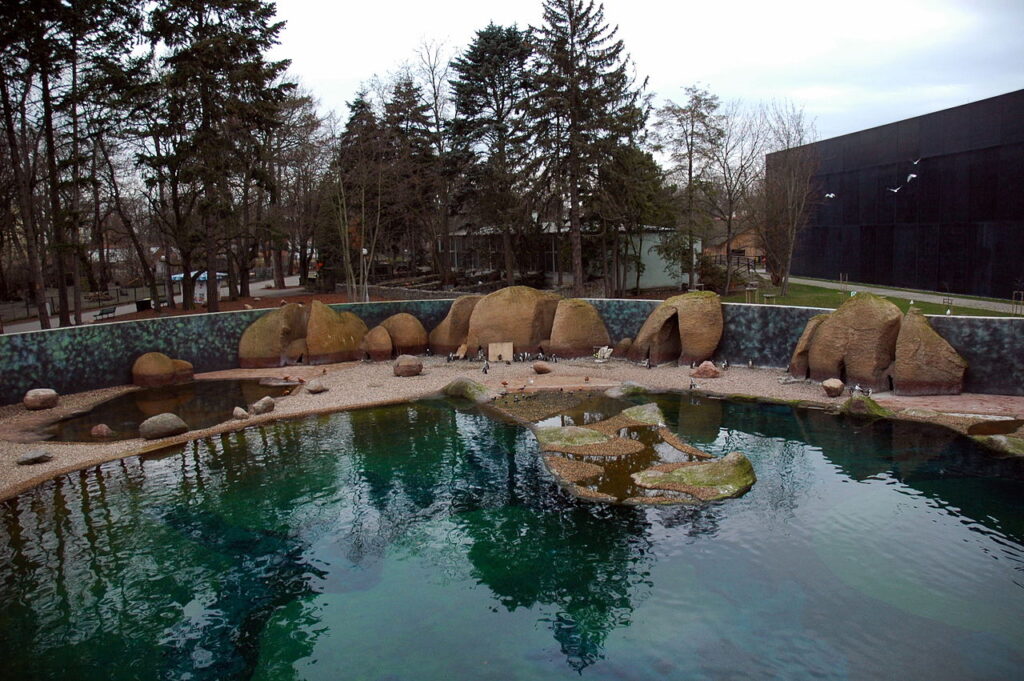 fokarium zoo wrocław