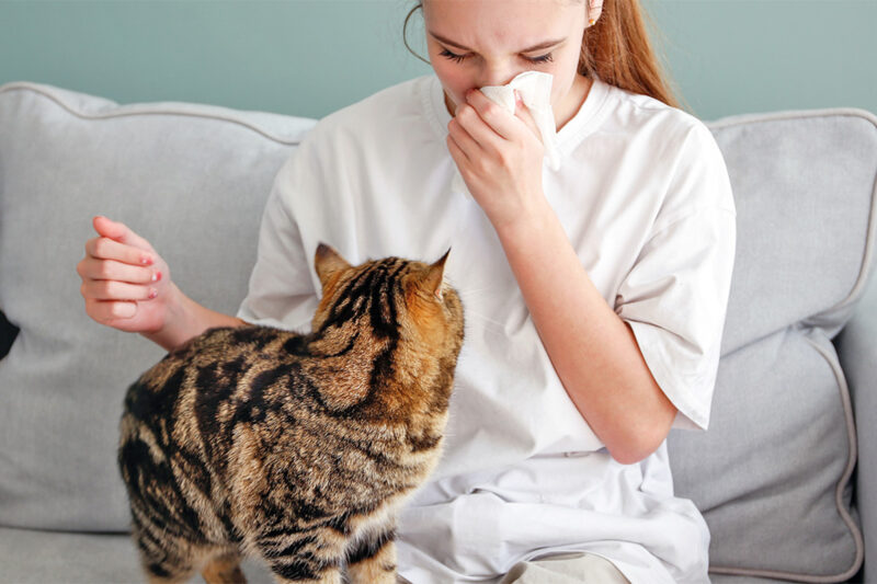 Czy kot może zarazić się od człowieka? Fakty, które warto znać