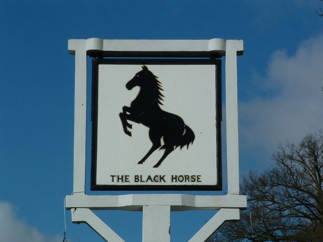 być czarnym koniem co to znaczy