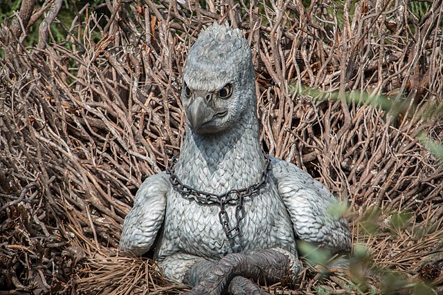 Hardodziób: półkoń który podbił serca czytelników