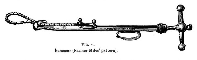 dlaczego kastruje się konie