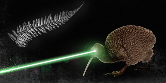 kiwi ptak ciekawostki