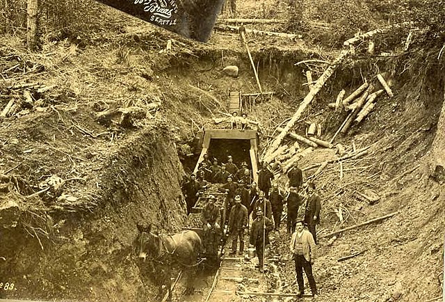 koń górniczy w kopalni