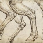 nieprawidłowy kłus konia