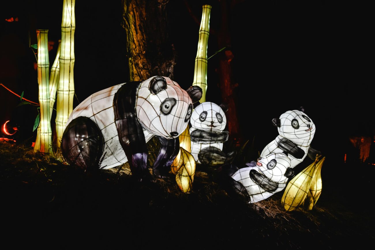 Panda lampion
