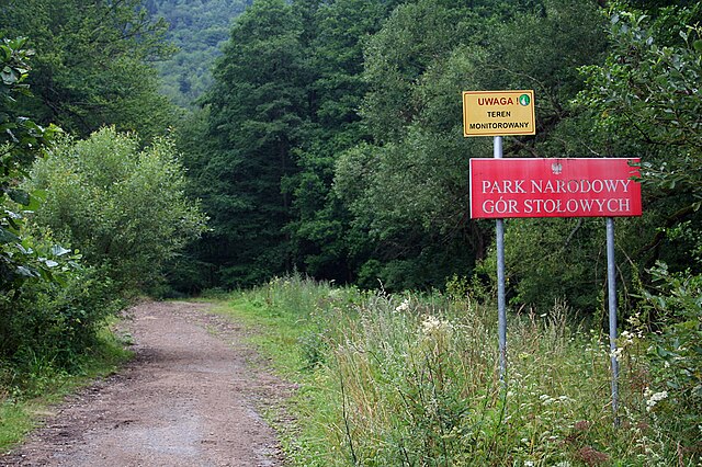 zwierzęta w parku narodowym gór stołowych