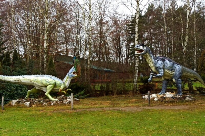 ZOO „Leśne Zacisze” w Lisowie