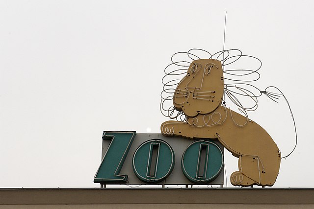 czy we wrocławskim zoo są pandy