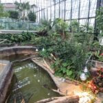 Ogród Zoologiczny w Sosnowcu