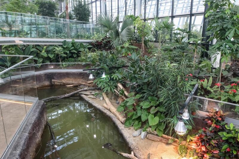 Ogród Botaniczno-Zoologiczny CEE Egzotarium – Sosnowiec