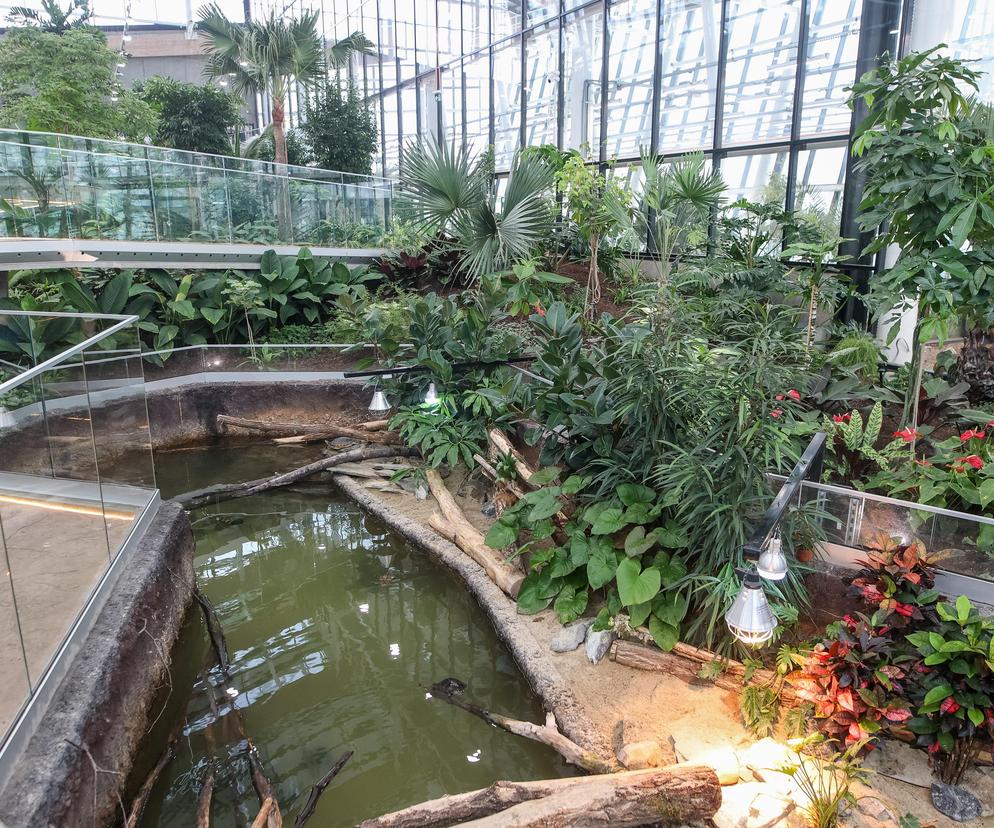 Ogród Zoologiczny w Sosnowcu