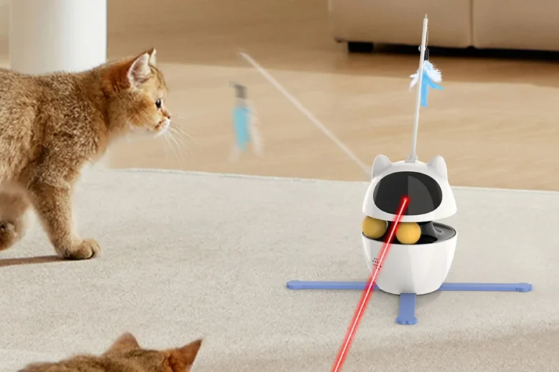 Interaktywne zabawki dla kota – rozwój inteligencji i codzienna rozrywka