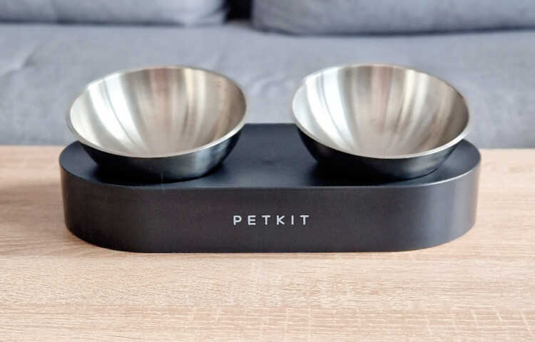 Miski i fontanny dla kota – zdrowe nawadnianie i karmienie w nowoczesnym stylu