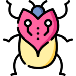 czy owady mają serce?