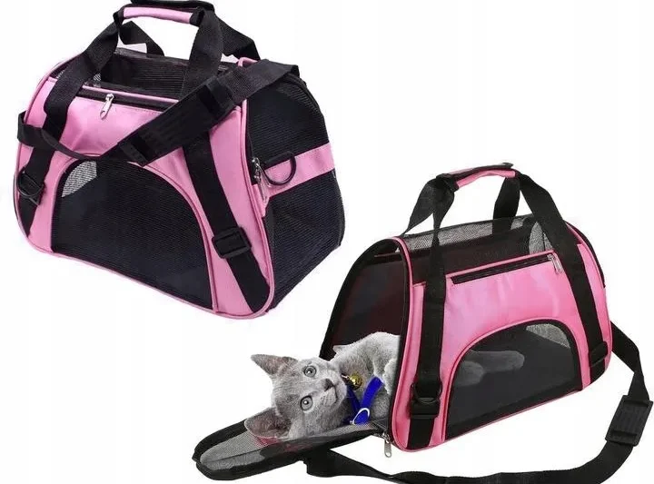 Transportery i torby dla kota – jak bezpiecznie podróżować z pupilem