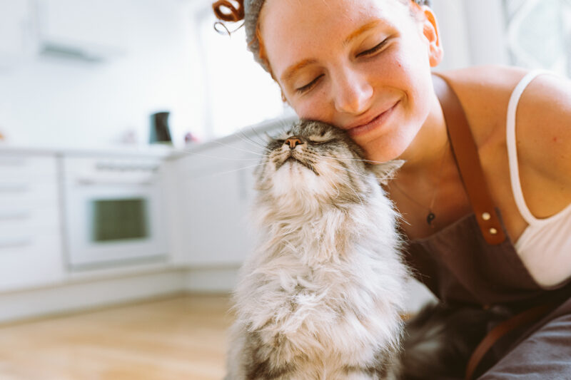 Czy kot cię lubi? 7 sygnałów, które warto znać