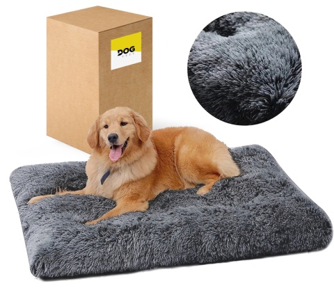 Jak wybrać idealne legowisko dla psa