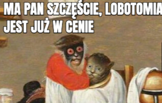 Memy z małpą