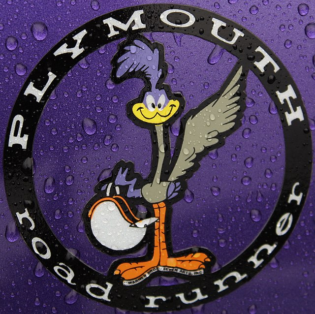 struś pędziwiatr co to za ptak?