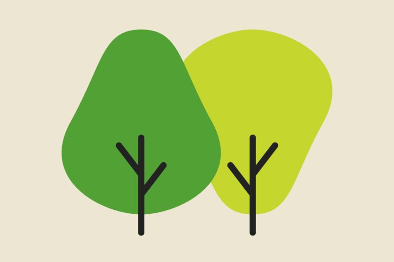 Komiks o lesie dla dzieci