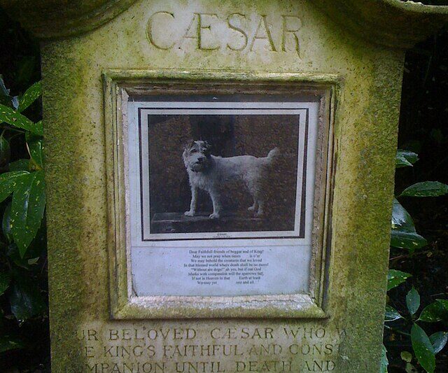 „Smętarz dla zwierzaków” Stephena Kinga: recenzja