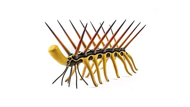 najdziwniejsze prehistoryczne zwierzęta