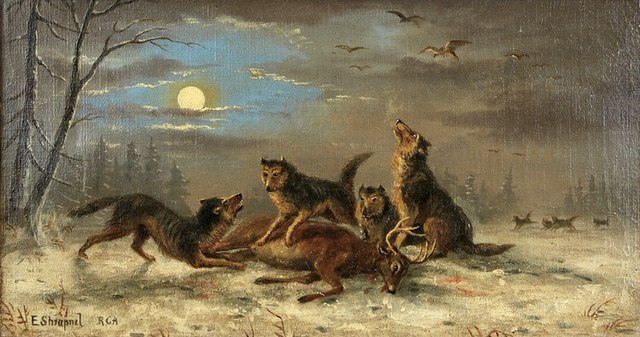 Satanic Warmaster: „The Chant of the Barbarian Wolves”