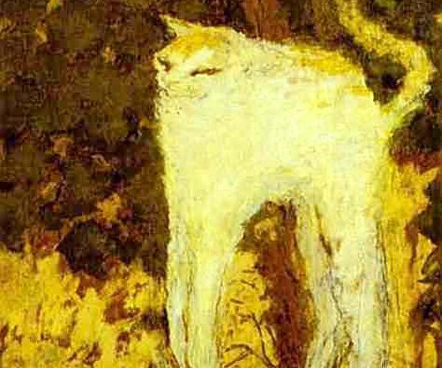 Pierre Bonnard „White cat” („Biały kot”)