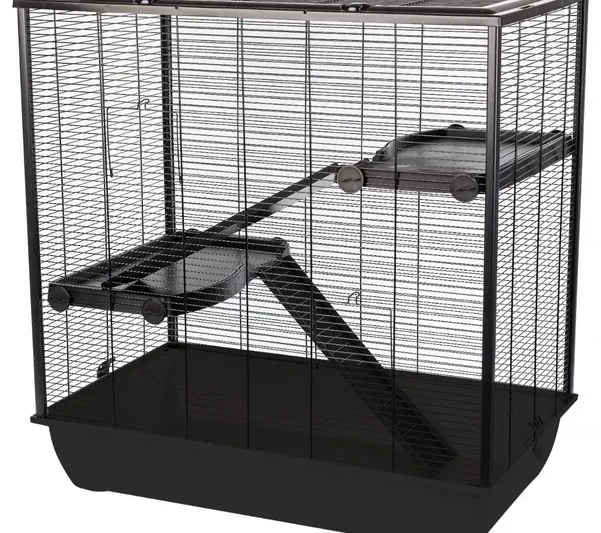 Jak wybrać idealną klatkę dla wiewiórki – wysokość, materiały i wyposażenie