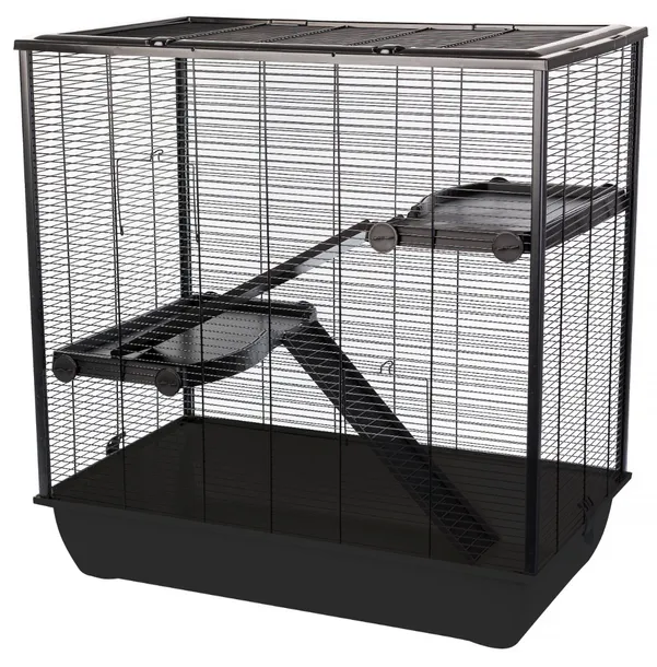 klatka dla wiewiórki