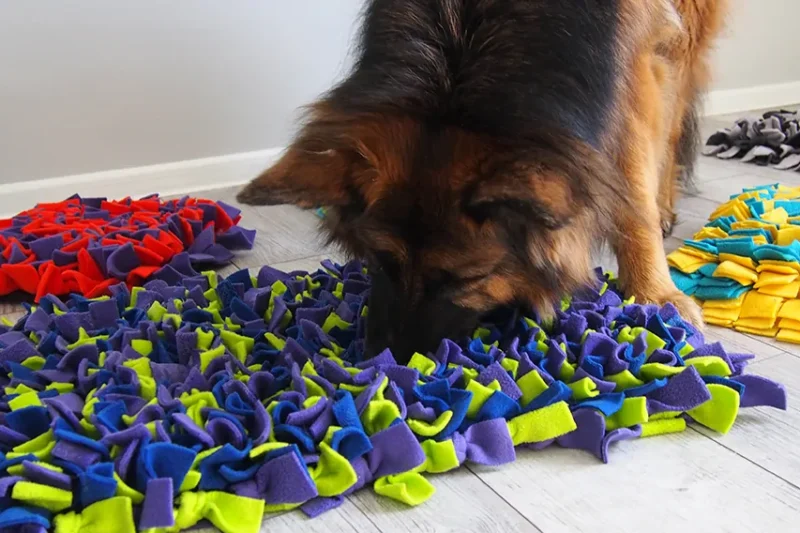 Zabawki dla psa – inteligentne i stymulacyjne