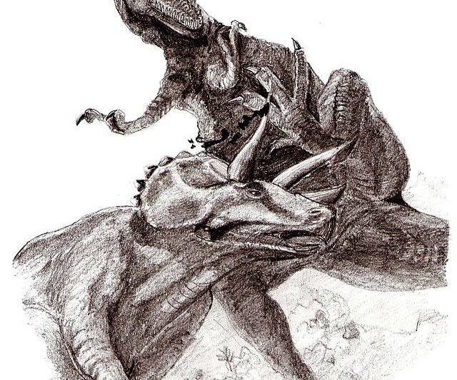 Tyranozaur vs triceratops