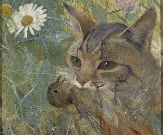 Ile ptaków zabijają koty? Kto jest winny mordów? Człowiek!