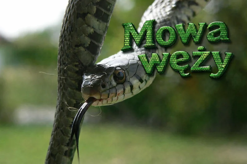 Mowa węży